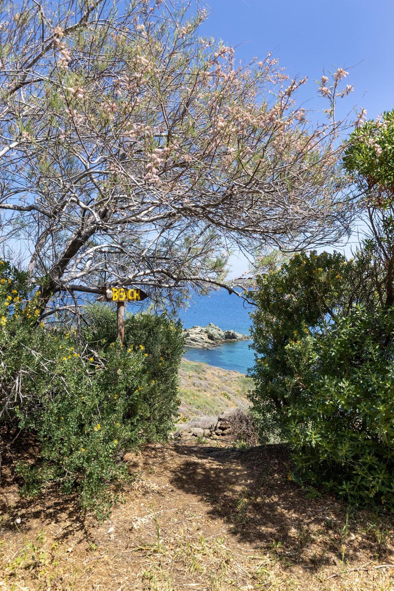 Aegean View - Seaside Apartment In Syros 阿佐里姆诺斯 外观 照片