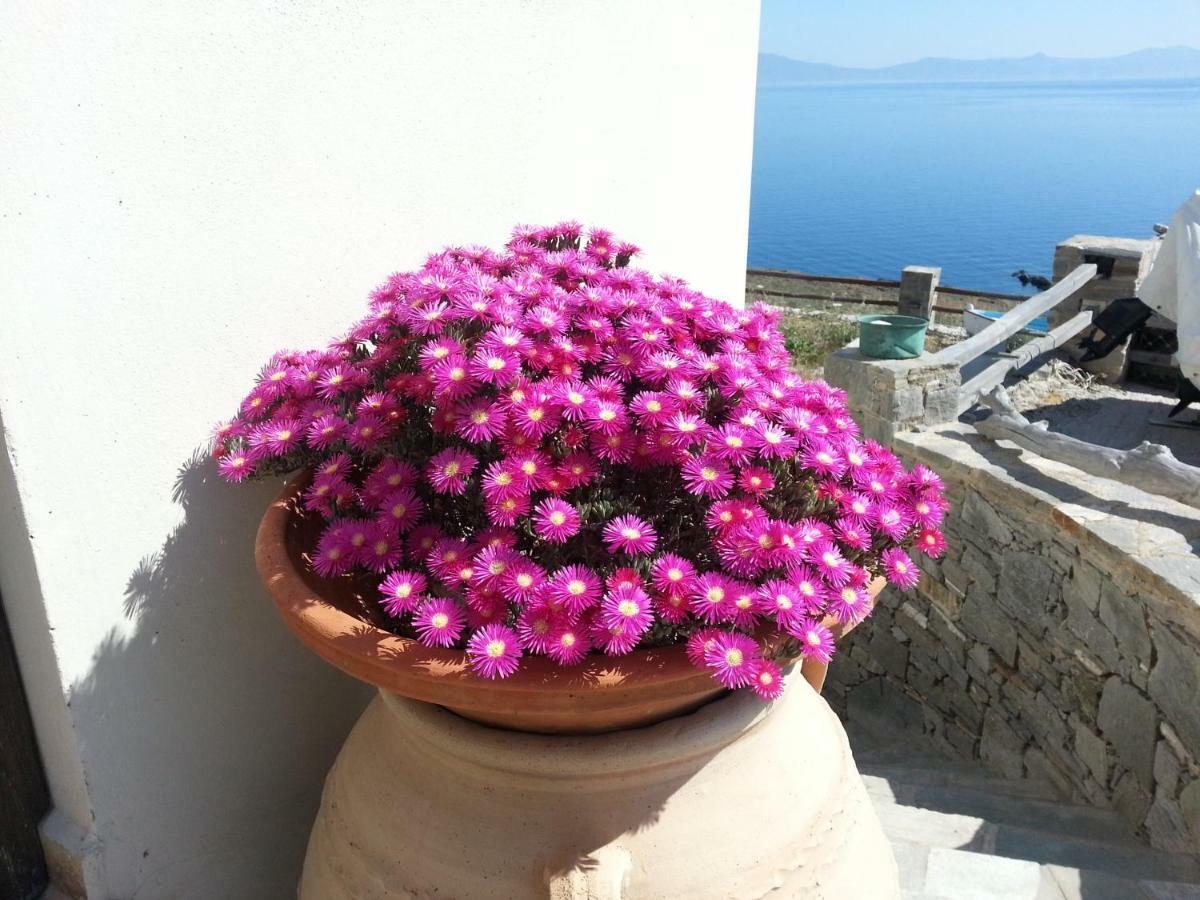 Aegean View - Seaside Apartment In Syros 阿佐里姆诺斯 外观 照片